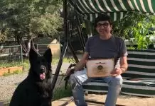HauseOfistanbul Köpek Eğitimi Merkezi samandırakopekegitimi