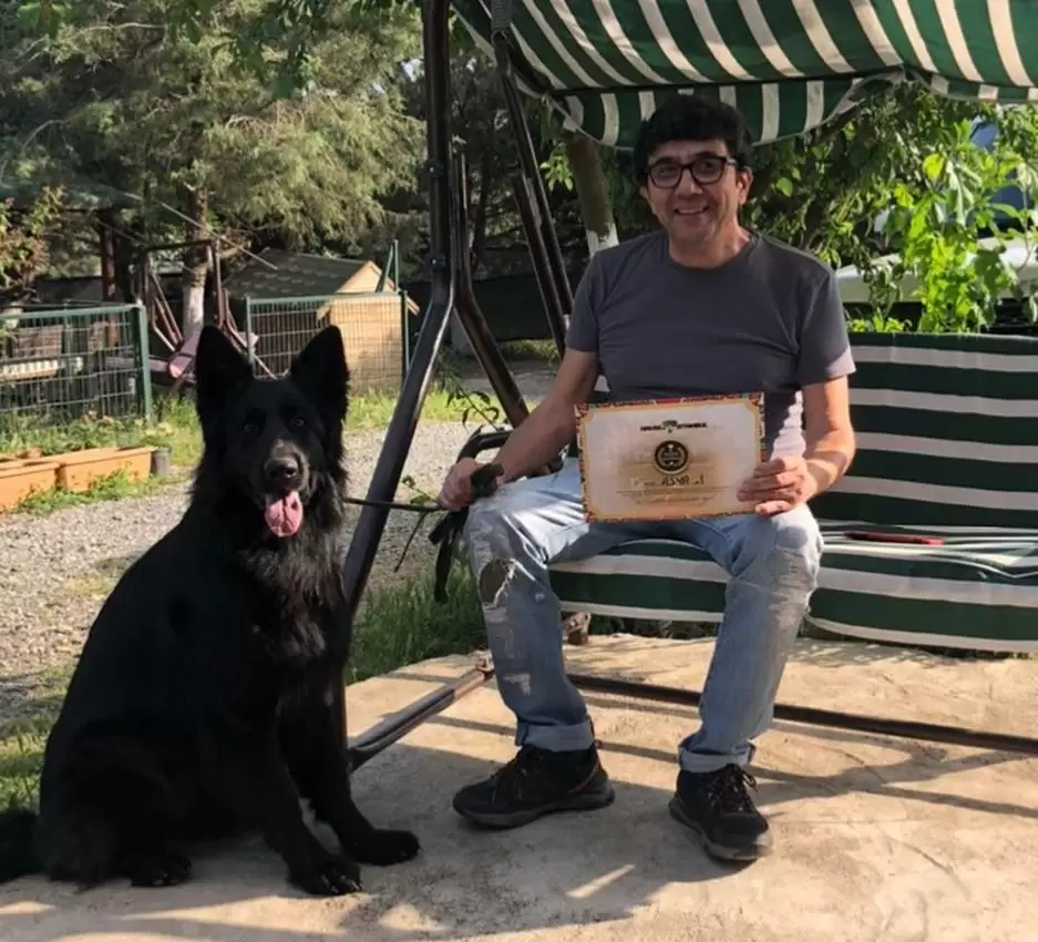 samandırakopekegitimi samandırakopekegitimi