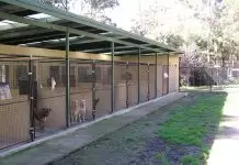 Köpek Oteli Kartal köpek oteli kartal