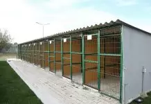 7/24 Köpek Pansiyonu kopekpansiyonukenel